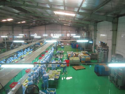 thi công sơn nền nhà xưởng tại Kiên Giang